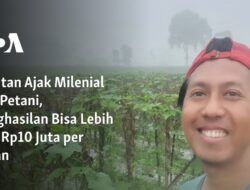 “Menarik Milenial ke Dunia Pertanian: Potensi Penghasilan di Atas Rp10 Juta per Bulan”