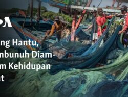 Misteri Laut: Pembunuh Rahasia di Dasar Laut