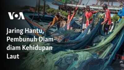 Misteri Laut: Pembunuh Rahasia di Dasar Laut