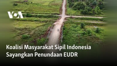 Koalisi Masyarakat Sipil Indonesia Kecewa atas Penundaan EUDR