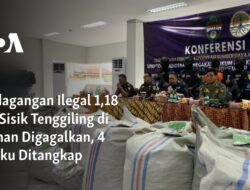 Operasi Penangkapan 4 Pelaku Perdagangan Ilegal 1,18 Ton Sisik Tenggiling di Asahan berhasil Dilakukan