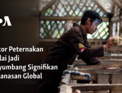 Peran Sektor Peternakan dalam Pemanasan Global: Sebuah Analisis Mendalam