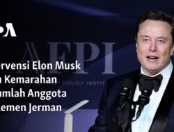 Interferensi Elon Musk Membakar Kemarahan Beberapa Anggota Parlemen Jerman