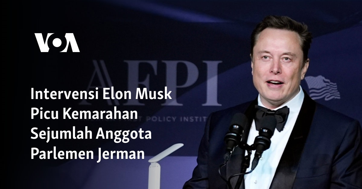 Interferensi Elon Musk Membakar Kemarahan Beberapa Anggota Parlemen Jerman