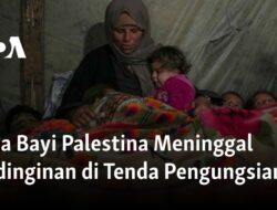 Tragedi Kematian Bayi Palestina karena Kedinginan di Tenda Pengungsian