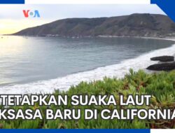 Amerika Mendirikan Zona Perlindungan Laut Besar Baru di California