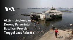 Dorongan Aktivis Lingkungan untuk Membatalkan Proyek Tanggul Laut Mega