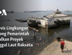 Dorongan Aktivis Lingkungan untuk Membatalkan Proyek Tanggul Laut Mega