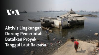 Dorongan Aktivis Lingkungan untuk Membatalkan Proyek Tanggul Laut Mega