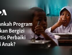 Apakah Program Makanan Sehat Gratis Dapat Meningkatkan Gizi Anak?