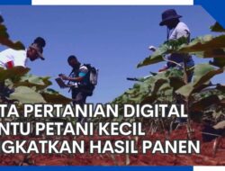 Meningkatkan Hasil Panen dengan Teknologi Pertanian Digital bagi Petani Kecil