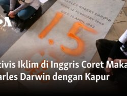 Aktivis Iklim Inggris Menyabot Makam Charles Darwin dengan Kapur