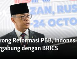 Mendorong Integrasi Indonesia ke dalam BRICS untuk Reformasi PBB