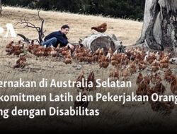 Peternakan Australia Selatan: Membuka Peluang bagi Orang-orang dengan Disabilitas