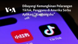 Potensi Pelarangan TikTok Dorong Pengguna Amerika Beralih ke Aplikasi “Xiaohongshu”