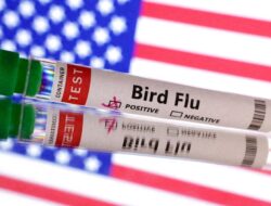 Risiko Flu Burung di Amerika Serikat Tetap Rendah Setelah Kematian Pertama Manusia