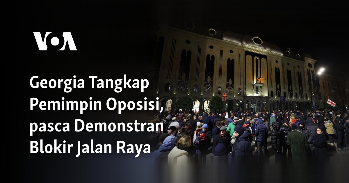 Georgia Menangkap Pemimpin Oposisi Setelah Demonstran Memblokir Jalan Raya