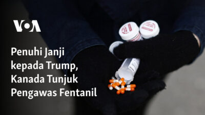 Menghormati Janji kepada Trump, Kanada Menunjuk Pengawas Fentanil