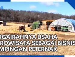 Keberhasilan Agrowisata: Menjadi Pilihan Bisnis Sampingan yang Bergairah Bagi Peternak