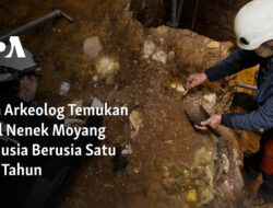 Penemuan Fosil Nenek Moyang Manusia Berusia Satu Juta Tahun oleh Seorang Arkeolog